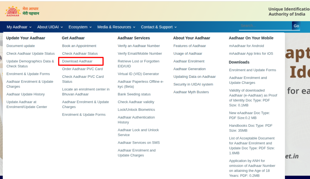 Select the option Download Aadhaar